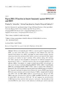 Pigeon RIG-I Function in Innate Immunity Against H9N2 IAV and IBDV