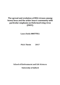The Spread and Evolution of RNA Viruses Among Honey Bees and the Wider Insect Community with Particular Emphasis on Deformed Wing Virus (DWV)