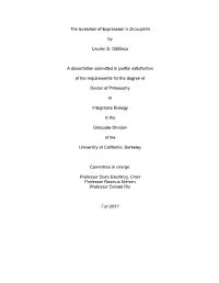 The Evolution of Expression in Drosophila by Lauren B. Gibilisco a Dissertation Submitted in Partial Satisfaction of the Require