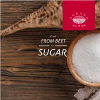 FROM BEET to SUGAR CONTENTS