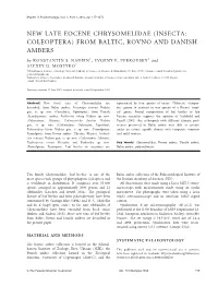 NEW LATE EOCENE CHRYSOMELIDAE (INSECTA: COLEOPTERA) from BALTIC, ROVNO and DANISH AMBERS by KONSTANTIN S