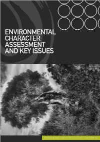 Environmental Character Assessment and Key Issues
