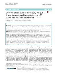 Lysosome Trafficking Is Necessary for EGF-Driven Invasion and Is