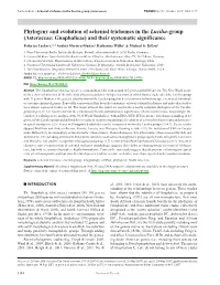 Phylogeny and Evolution of Achenial Trichomes In