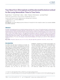 Two New Fern Chloroplasts and Decelerated Evolution Linked to the Long Generation Time in Tree Ferns