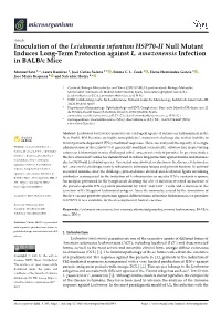 Inoculation of the Leishmania Infantum HSP70-II Null Mutant Induces Long-Term Protection Against L