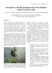 Saving the Critically Endangered Greater Bamboo Lemur Prolemur Simus