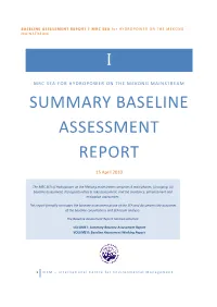 Summary Baseline Assessment Report
