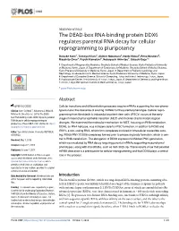 The DEAD-Box RNA-Binding Protein DDX6 Regulates Parental RNA Decay for Cellular Reprogramming to Pluripotency