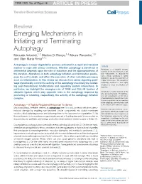 Emerging Mechanisms in Initiating and Terminating Autophagy Manuela Antonioli,1,2 Martina Di Rienzo,1,3 Mauro Piacentini,1,3 and Gian Maria Fimia1,4,*