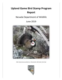 FY20 Upland Game Bird Stamp Program Report