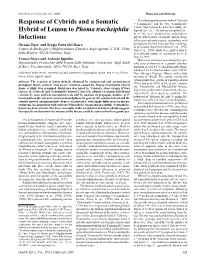 Response of Cybrids and a Somatic Hybrid of Lemon to Phoma