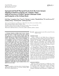 Sauropod and Small Theropod Tracks from the Lower Jurassic Ziliujing Formation of Zigong City, Sichuan, China, with an Overview
