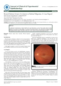 Branch Retinal Artery Occlusion in Retinal