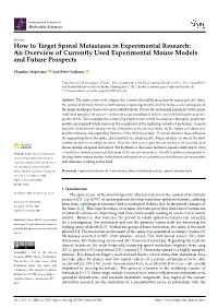 How to Target Spinal Metastasis in Experimental Research: an Overview of Currently Used Experimental Mouse Models and Future Prospects