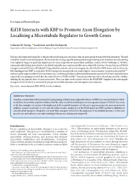 Kif1b Interacts with KBP to Promote Axon Elongation by Localizing a Microtubule Regulator to Growth Cones