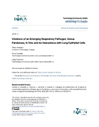 Virulence of an Emerging Respiratory Pathogen, Genus Pandoraea, in Vivo and Its Interactions with Lung Epithelial Cells