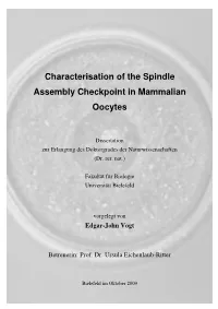 Characterisation of the Spindle Assembly Checkpoint in Mammalian Oocytes