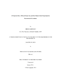 Edward James Gay and the Chinese Labor Experiment in Reconstructed