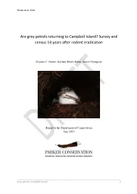 Grey Petrels Returning to Campbell Island? Survey and Census 14 Years After Rodent Eradication