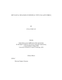 Mechanical Behavior of Individual Type I Collagen Fibrils
