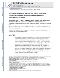 Subcellular Localization of MC4R with ADCY3 at Neuronal Primary Cilia Underlies a Common Pathway for Genetic Predisposition to Obesity
