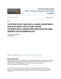 The Interaction of Mechanical Loading and Metabolic Stress on Human