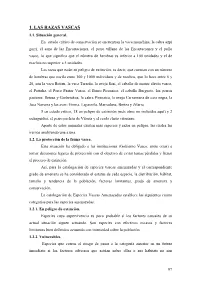 1. Las Razas Vascas 1.1