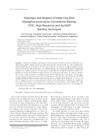 Karyotype and Idiogram of Indian Hog Deer (Hyelaphus Porcinus) by Conventional Staining, GTG-, High-Resolution and Ag-NOR Banding Techniques