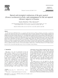Spread and Attempted Eradication of the Grey Squirrel (Sciurus Carolinensis) in Italy, and Consequences for the Red Squirrel (Sciurus Vulgaris) in Eurasia