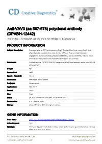 Anti-VAV3 (Aa 567-578) Polyclonal Antibody (DPABH-12442) This Product Is for Research Use Only and Is Not Intended for Diagnostic Use