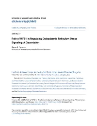 Role of WFS1 in Regulating Endoplasmic Reticulum Stress Signaling: a Dissertation