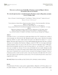 First Detailed Survey on the Pond Slider (Trachemys Scripta) Invasion