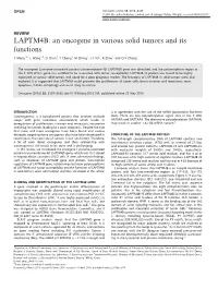 LAPTM4B: an Oncogene in Various Solid Tumors and Its Functions