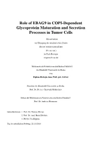 Role of EBAG9 in COPI-Dependent Glycoprotein Maturation and Secretion Processes in Tumor Cells