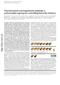 Chromosomal Rearrangements Maintain a Polymorphic Supergene Controlling Butterfly Mimicry