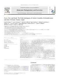 Echinodermata) and Their Permian-Triassic Origin