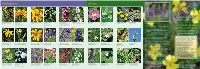 Crested Butte Wildflower Guide