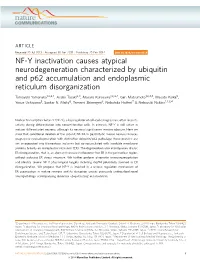 NF-Y Inactivation Causes Atypical Neurodegeneration Characterized by Ubiquitin and P62 Accumulation and Endoplasmic Reticulum Disorganization