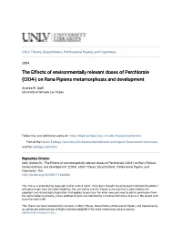 On Rana Pipiens Metamorphosis and Development