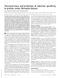 Structural Basis and Prediction of Substrate Specificity in Protein Serine͞threonine Kinases