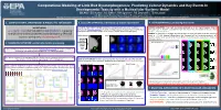 Computational Modeling of Limb-Bud Dysmorphogenesis