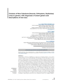 Crickets of New Caledonia (Insecta, Orthoptera, Grylloidea): a Key to Genera, with Diagnoses of Extant Genera and Descriptions of New Taxa