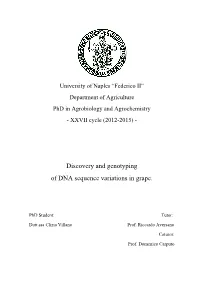 Discovery and Genotyping of DNA Sequence Variations in Grape