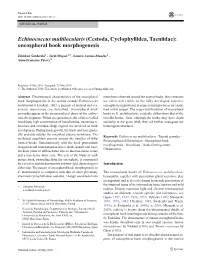 Echinococcus Multilocularis (Cestoda, Cyclophyllidea, Taeniidae): Oncospheral Hook Morphogenesis