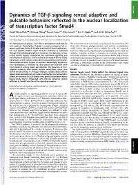 Dynamics of TGF-Β Signaling Reveal Adaptive and Pulsatile Behaviors Reflected in the Nuclear Localization of Transcription Fact