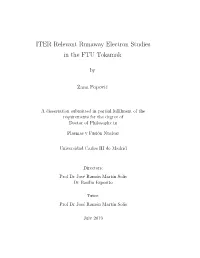 ITER Relevant Runaway Electron Studies in the FTU Tokamak