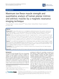 Maximum Toe Flexor Muscle Strength and Quantitative Analysis of Human