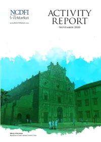 Activity Report