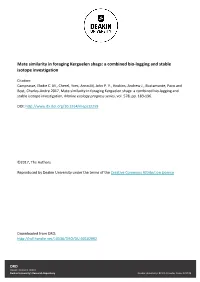 Mate Similarity in Foraging Kerguelen Shags: a Combined Bio-Logging and Stable Isotope Investigation